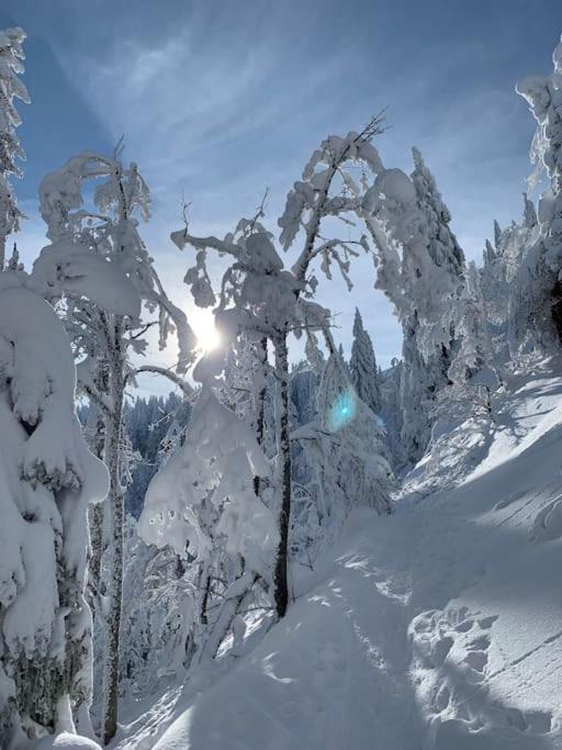 פלדברג Stube9 Am Feldberg, Direkt An Der Skipiste, Ski In-Ski Out מראה חיצוני תמונה