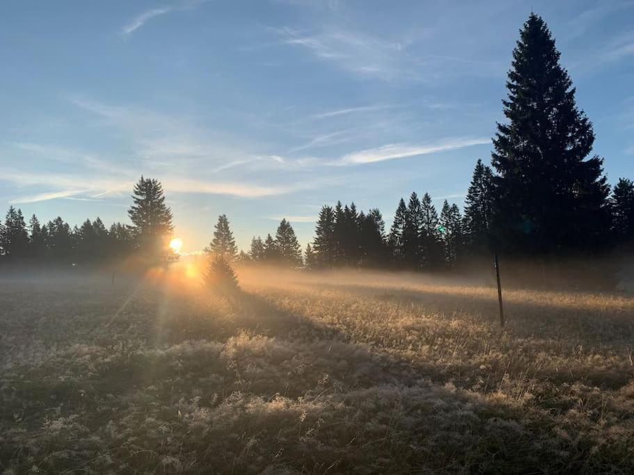 פלדברג Stube9 Am Feldberg, Direkt An Der Skipiste, Ski In-Ski Out מראה חיצוני תמונה