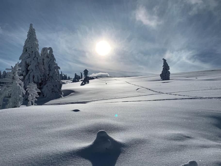 פלדברג Stube9 Am Feldberg, Direkt An Der Skipiste, Ski In-Ski Out מראה חיצוני תמונה